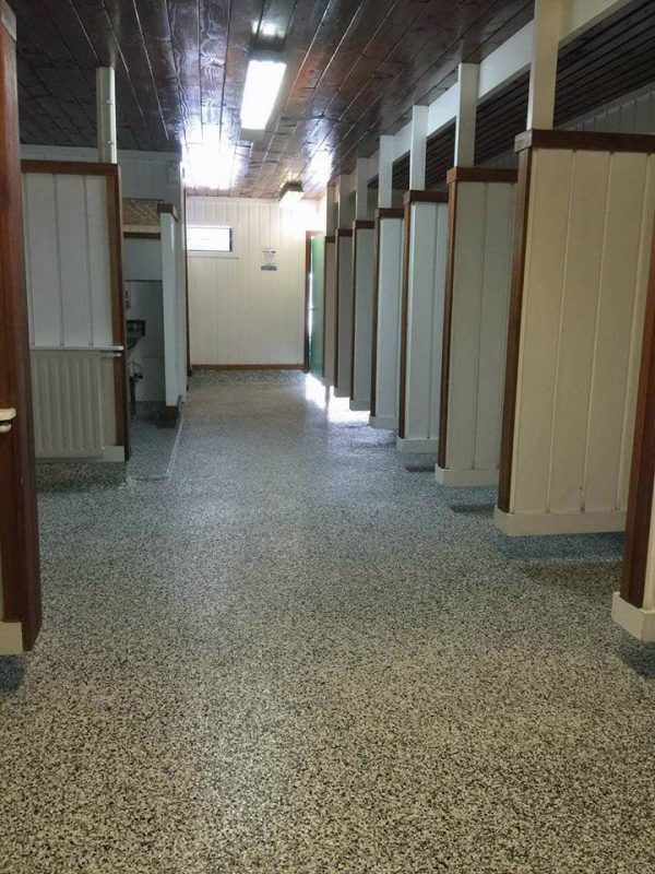 Allnex Terraflake Tauranga after